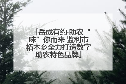 岳成有约·助农“味”你而来 监利市柘木乡全力打造数字助农特色品牌