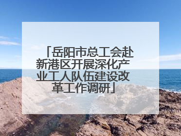 岳阳市总工会赴新港区开展深化产业工人队伍建设改革工作调研