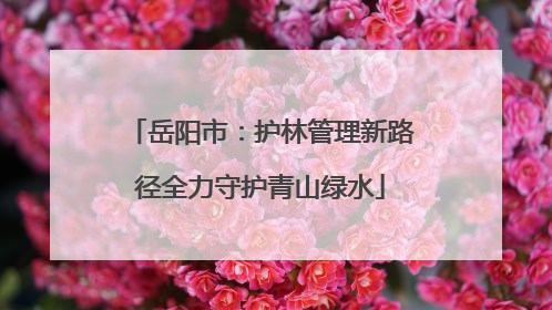 岳阳市：护林管理新路径全力守护青山绿水