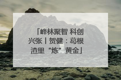峰林聚智 科创兴张丨贺健：葛根渣里“炼”黄金