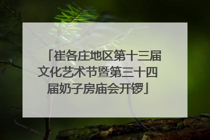 崔各庄地区第十三届文化艺术节暨第三十四届奶子房庙会开锣