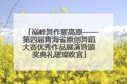 巅峰舞作耀高原——第四届青海省原创舞蹈大赛优秀作品展演暨颁奖典礼璀璨收官