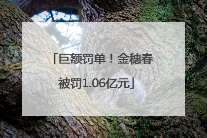 巨额罚单！金穗春被罚1.06亿元
