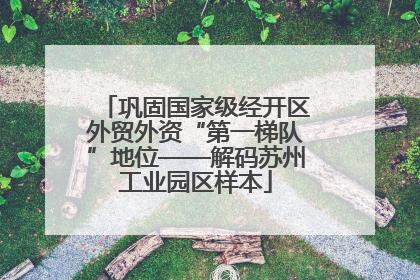 巩固国家级经开区外贸外资“第一梯队”地位——解码苏州工业园区样本