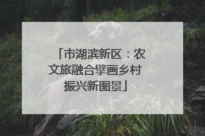 市湖滨新区：农文旅融合擘画乡村振兴新图景