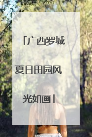 广西罗城夏日田园风光如画