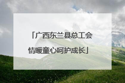 广西东兰县总工会情暖童心呵护成长