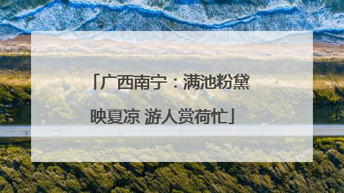 广西南宁：满池粉黛映夏凉 游人赏荷忙