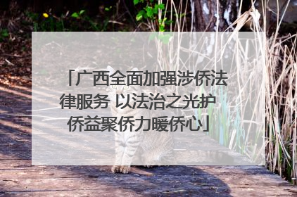 广西全面加强涉侨法律服务 以法治之光护侨益聚侨力暖侨心