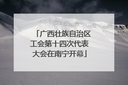 广西壮族自治区工会第十四次代表大会在南宁开幕