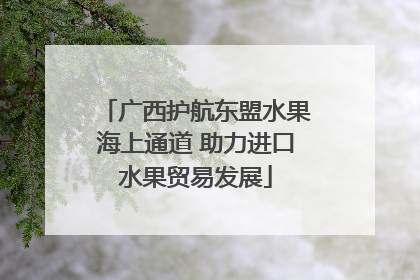 广西护航东盟水果海上通道 助力进口水果贸易发展