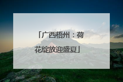 广西梧州：荷花绽放迎盛夏