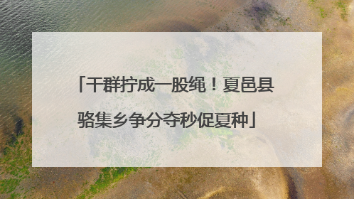干群拧成一股绳！夏邑县骆集乡争分夺秒促夏种
