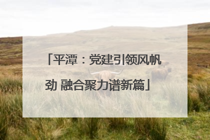平潭：党建引领风帆劲 融合聚力谱新篇