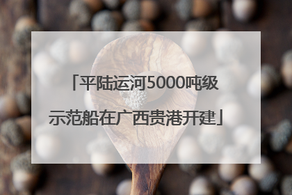 平陆运河5000吨级示范船在广西贵港开建