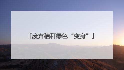 废弃秸秆绿色“变身”