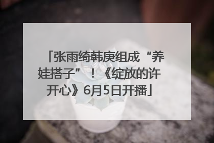 张雨绮韩庚组成“养娃搭子”！《绽放的许开心》6月5日开播