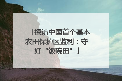 探访中国首个基本农田保护区监利：守好“饭碗田”