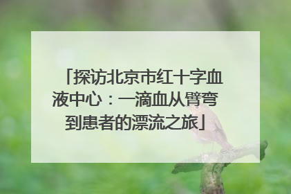探访北京市红十字血液中心：一滴血从臂弯到患者的漂流之旅