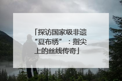 探访国家级非遗“夏布绣”：指尖上的丝线传奇