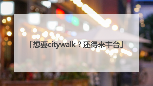 想要citywalk？还得来丰台