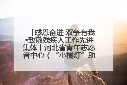 感恩奋进 双争有我•致敬残疾人工作先进集体丨河北省青年志愿者中心（“小橘灯”助残接力计划实施团队）：用温暖陪伴，守护特殊孩子成长
