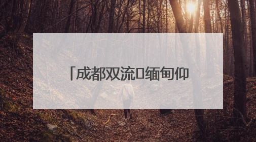 成都双流⇌缅甸仰光全货运航线开通