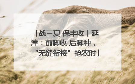 战三夏 保丰收丨延津：前脚收 后脚种，“无缝衔接”抢农时