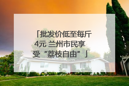 批发价低至每斤4元 兰州市民享受“荔枝自由”