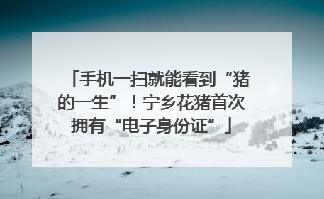 手机一扫就能看到“猪的一生”！宁乡花猪首次拥有“电子身份证”