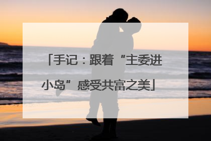 手记：跟着“主委进小岛”感受共富之美