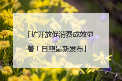 扩开放促消费成效显著！日照最新发布