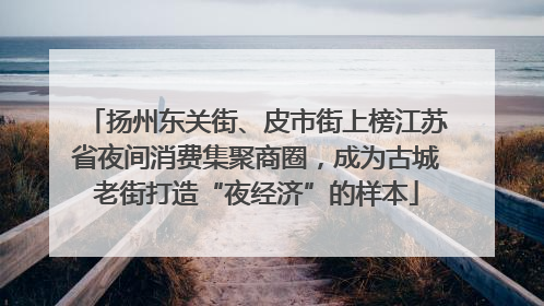 扬州东关街、皮市街上榜江苏省夜间消费集聚商圈，成为古城老街打造“夜经济”的样本