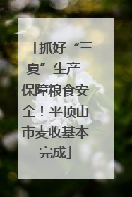 抓好“三夏”生产 保障粮食安全！平顶山市麦收基本完成