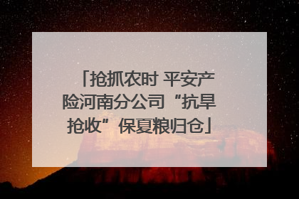 抢抓农时 平安产险河南分公司“抗旱抢收”保夏粮归仓