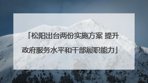松阳出台两份实施方案 提升政府服务水平和干部履职能力
