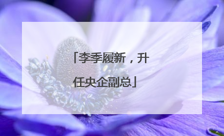李季履新，升任央企副总