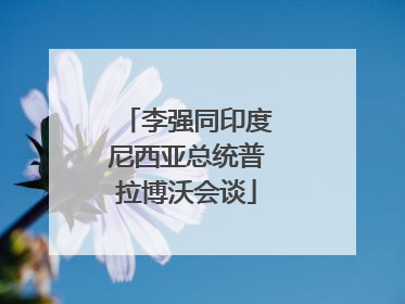 李强同印度尼西亚总统普拉博沃会谈