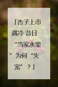杏子上市遇冷 昔日“当家水果”为何“失宠”？