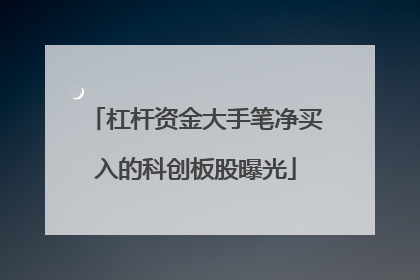 杠杆资金大手笔净买入的科创板股曝光