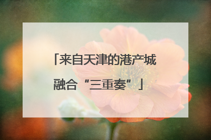 来自天津的港产城融合“三重奏”