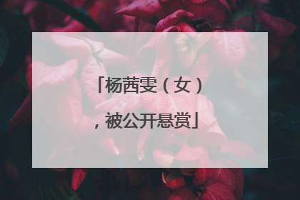 杨茜雯（女），被公开悬赏