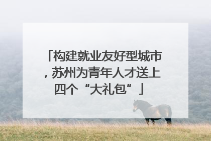 构建就业友好型城市，苏州为青年人才送上四个“大礼包”