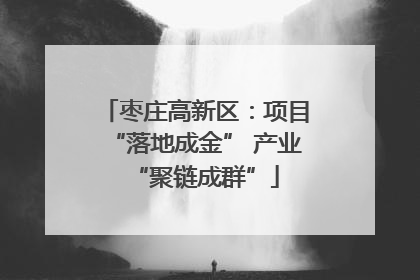 枣庄高新区：项目“落地成金” 产业“聚链成群”