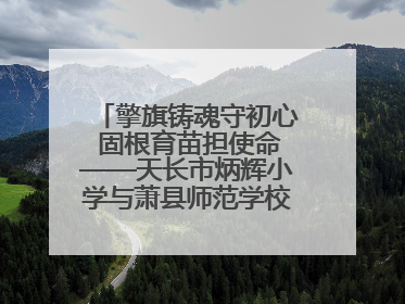 擎旗铸魂守初心 固根育苗担使命——天长市炳辉小学与萧县师范学校附属小学结对共建活动纪实