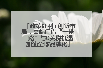 政策红利+创新布局：喜临门借“一带一路”与0关税机遇加速全球品牌化