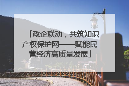 政企联动，共筑知识产权保护网——赋能民营经济高质量发展