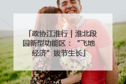 政协江淮行｜淮北段园新型功能区：“飞地经济”拔节生长