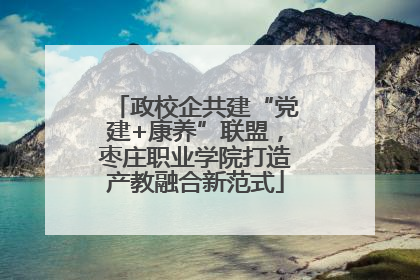 政校企共建“党建+康养”联盟，枣庄职业学院打造产教融合新范式