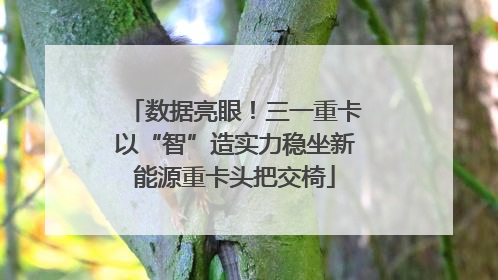 数据亮眼！三一重卡以“智”造实力稳坐新能源重卡头把交椅